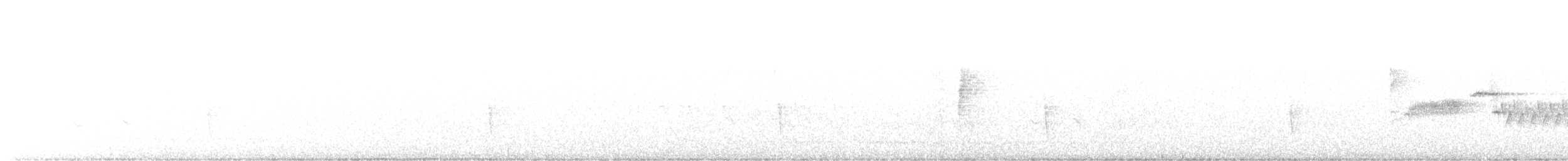 Bewick Çıtkuşu [mexicanus grubu] - ML605711831
