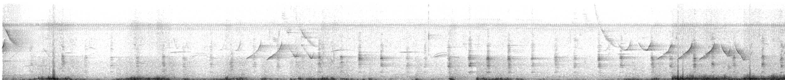キバナシマセゲラ（aurifrons） - ML605712441