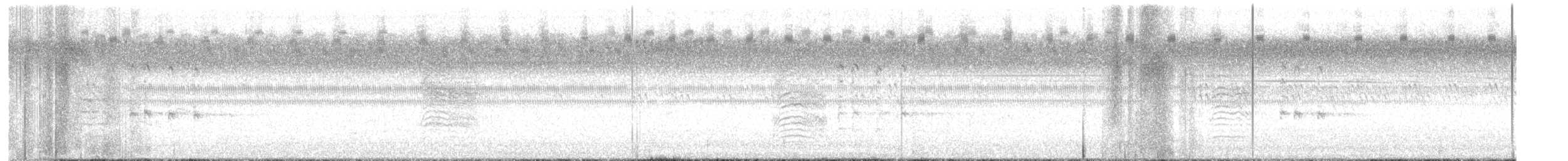 Virginia Rail - ML605755541