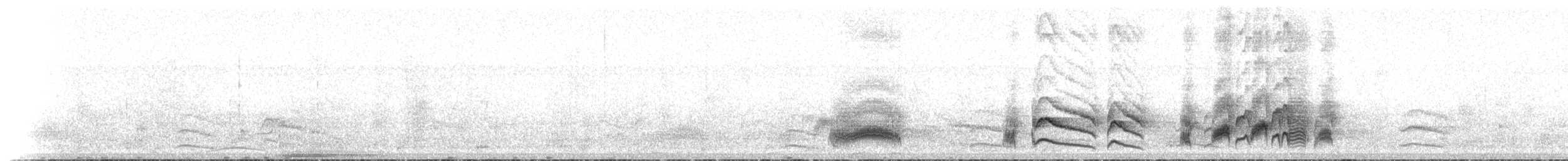 Серогрудый тиранн - ML60580601