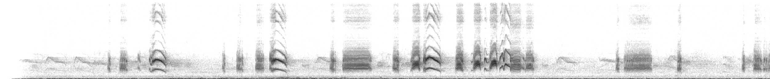 Серогрудый тиранн - ML60580631
