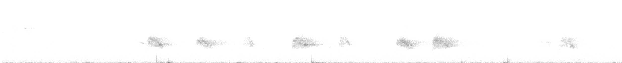 Falkennachtschwalbe - ML605831401