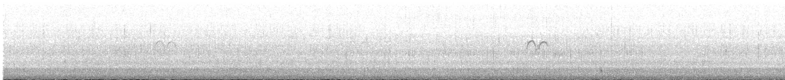 Краснобрюхая горихвостка - ML605886391