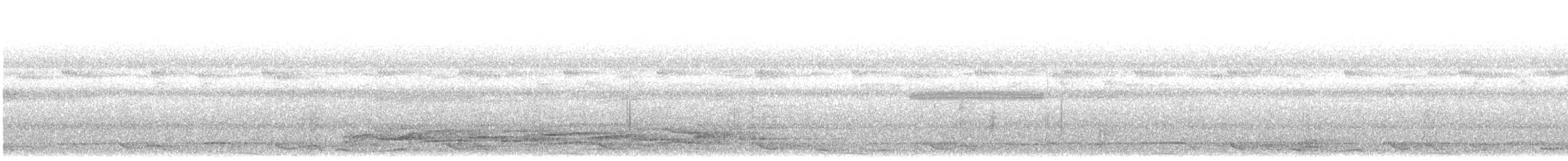Черноухая птица-кошка - ML605893491