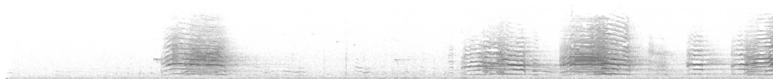 Batılı Korella Kakadusu - ML605894781