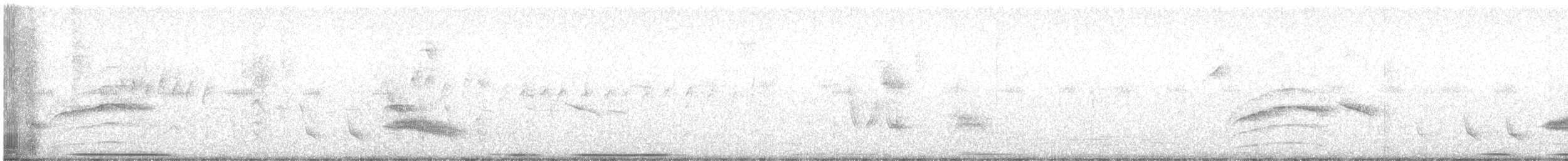 Горличка білолоба - ML605905711