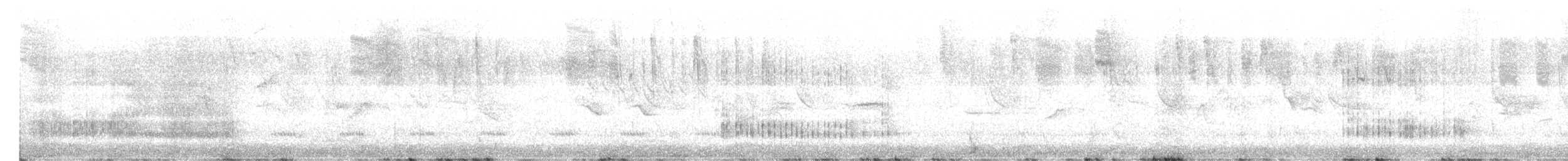 furuskrike (diademata gr.) - ML605910031