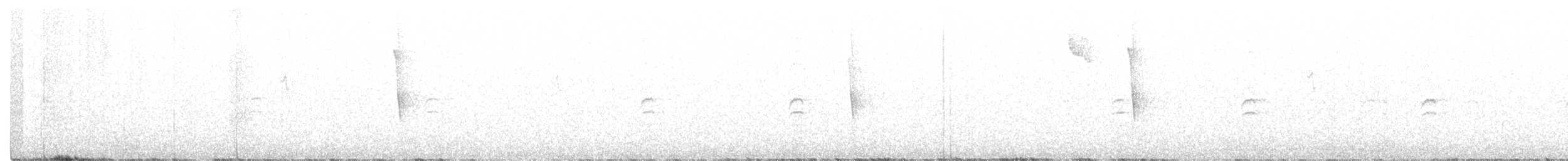 Piquituerto Aliblanco - ML605913871