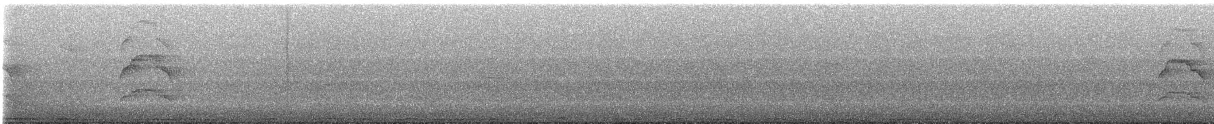 krahujec obecný - ML605917121