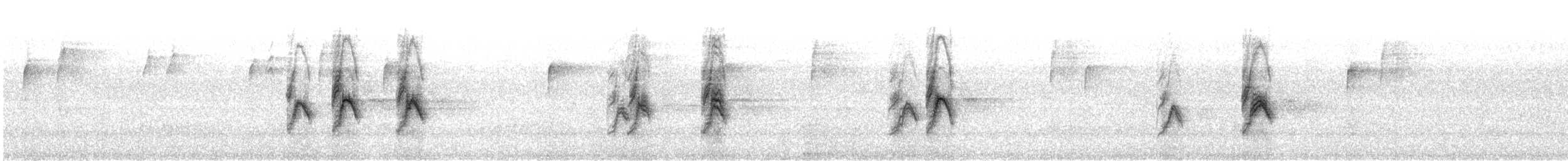 House Sparrow - ML605942191