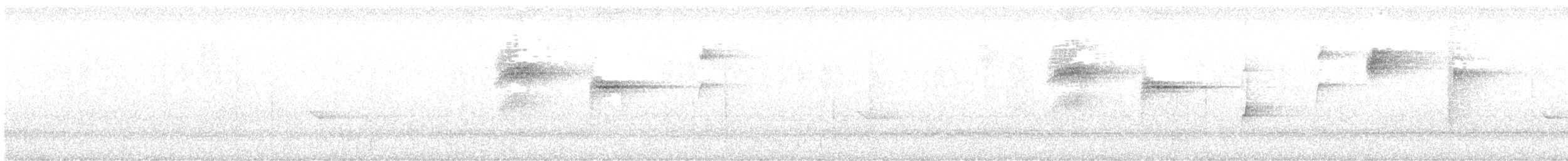 kolibřík skvrnitoprsý - ML605942891
