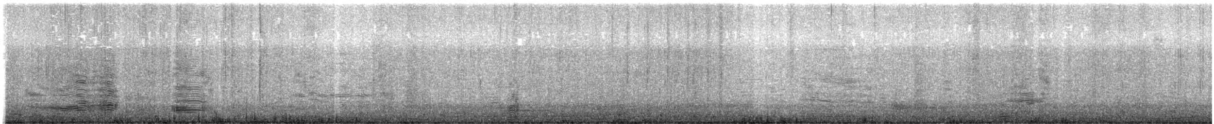 svartbrynalbatross - ML605963681