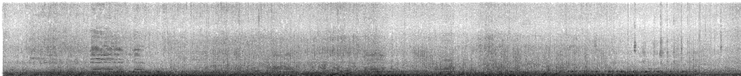 svartbrynalbatross - ML605963691