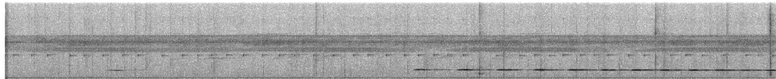 Brustflecktapaculo - ML605965811