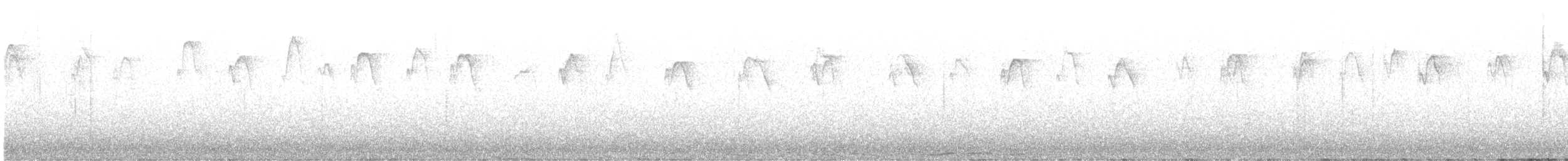 tyranovec severský - ML605972841