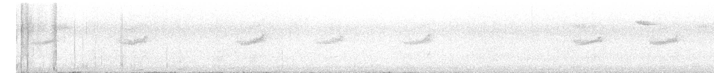 passereau sp. - ML605978161