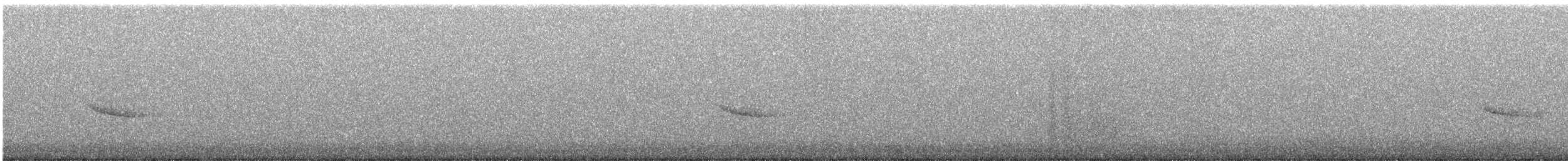 Дрізд-короткодзьоб плямистоволий - ML605999371