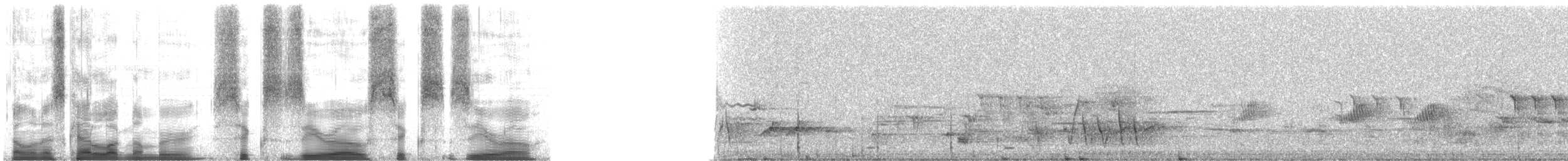Picchion cramoisi - ML6060