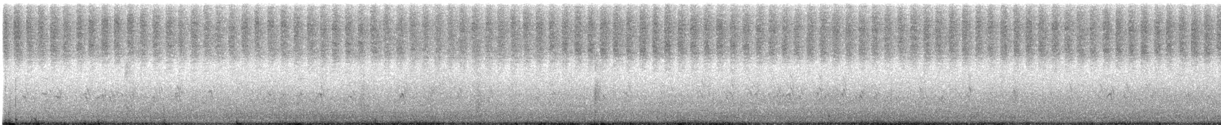 Chorlitejo Semipalmeado - ML606001561