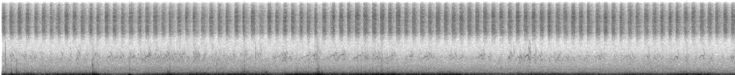 Chorlitejo Semipalmeado - ML606001701