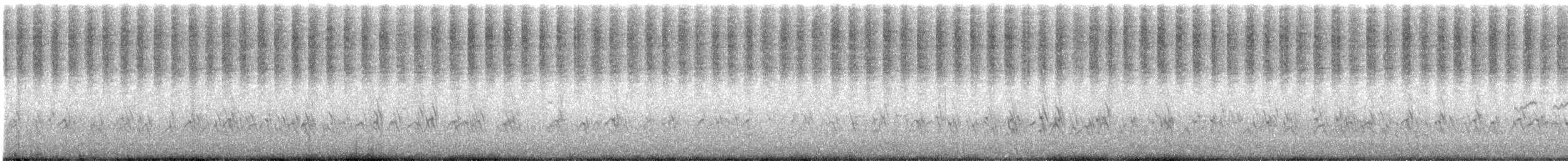 חופמי אמריקני - ML606001831