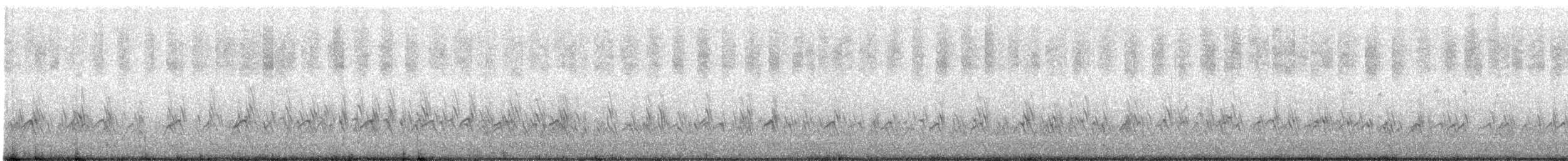 Chorlitejo Semipalmeado - ML606001981