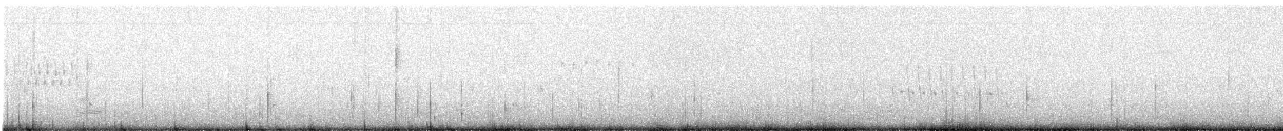 Troglodyte des marais (griseus) - ML606002291