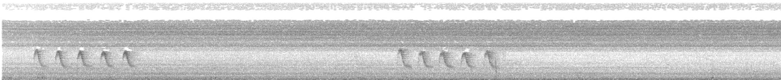 Cozumel Vireo - ML606023091