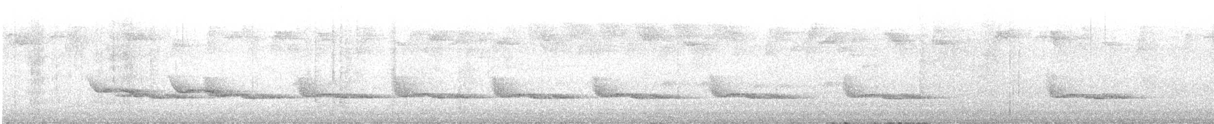 Troglodyte à poitrine blanche - ML606042421