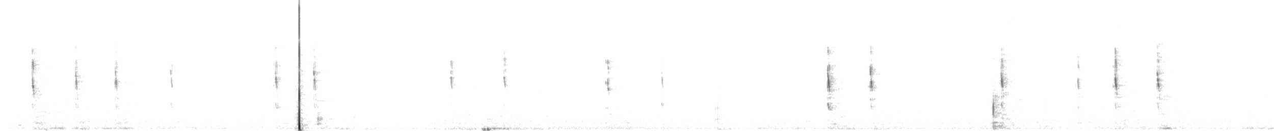 striperyggkurvfugl (sclateri gr.) - ML606073891