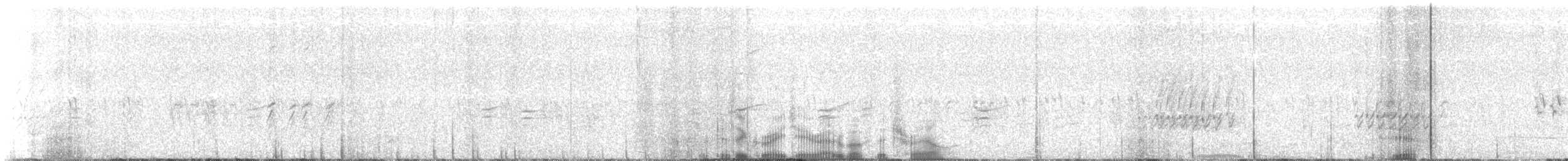 Piquituerto Aliblanco (leucoptera) - ML60608821