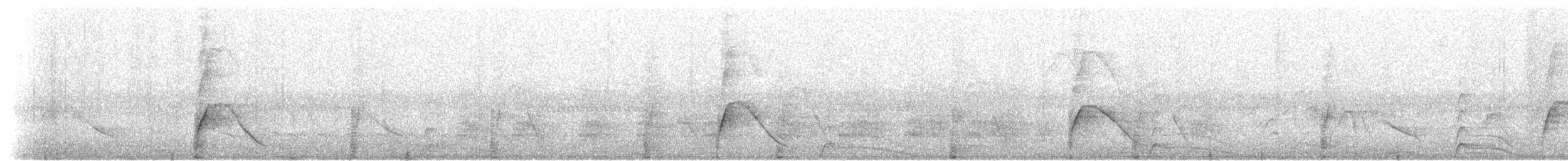 Nacktgesichthokko - ML606121331