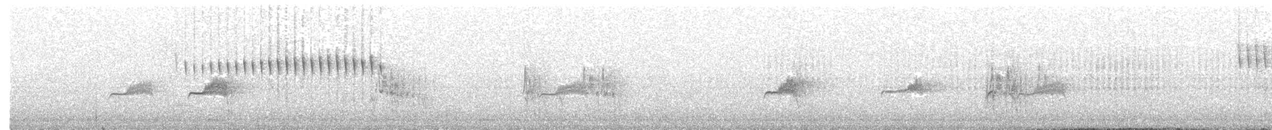 Northern Pygmy-Owl - ML60613001