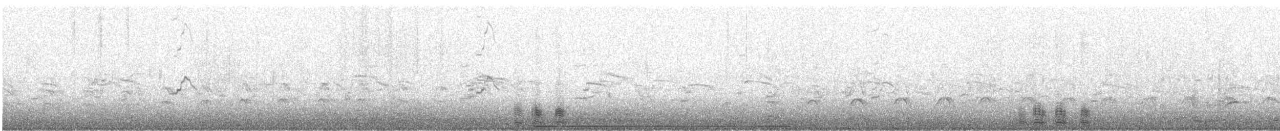 アメリカオオセグロカモメ - ML606152111