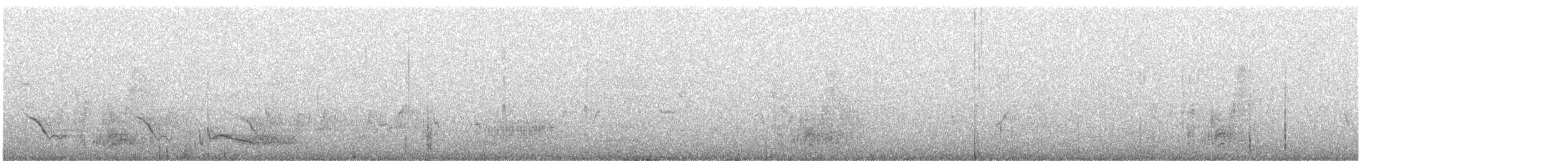 White-browed Babbler - ML606155001
