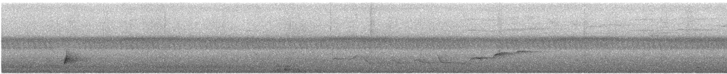 Kobaltfeenvogel (cyanogastra) - ML606220711