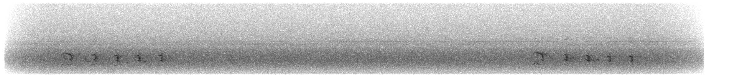 Светлохохлый дятел-гренадер - ML606226401