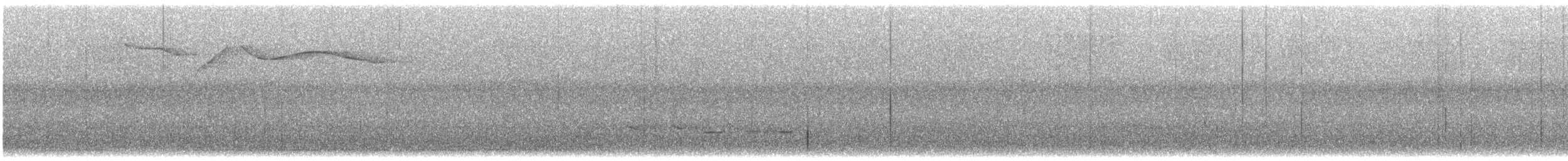 Серогрудый жемчужнокрыл - ML606230301