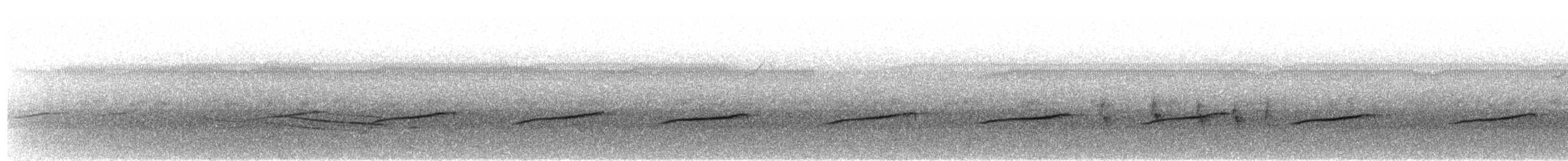 Sporophile à ventre blanc - ML606232911