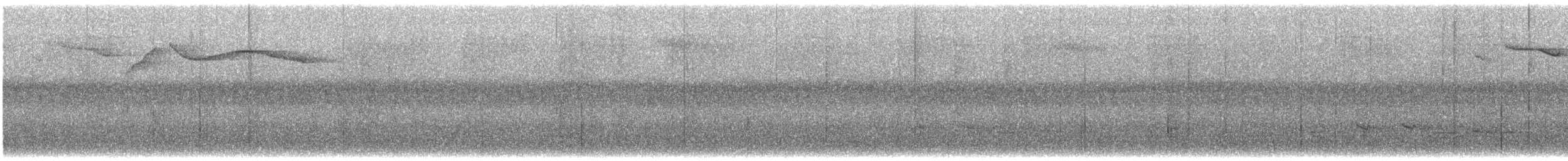 Робсонія темнодзьоба - ML606233291