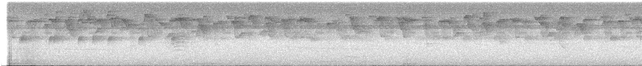Пестрогорлый колибри-отшельник - ML606254291
