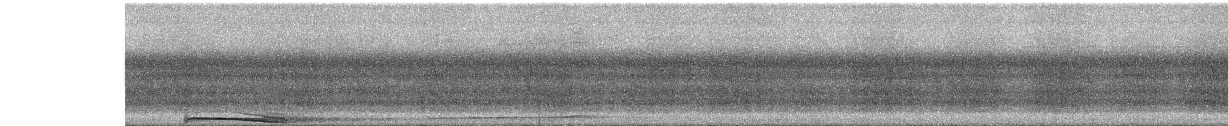 Barred Owl - ML606261681