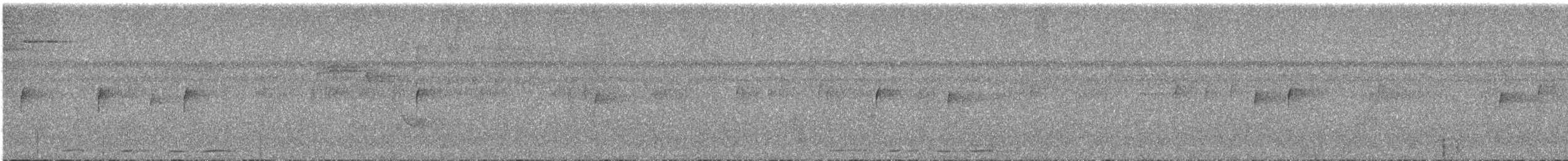 Kısa Gagalı Kızılca Güvercin - ML606267381