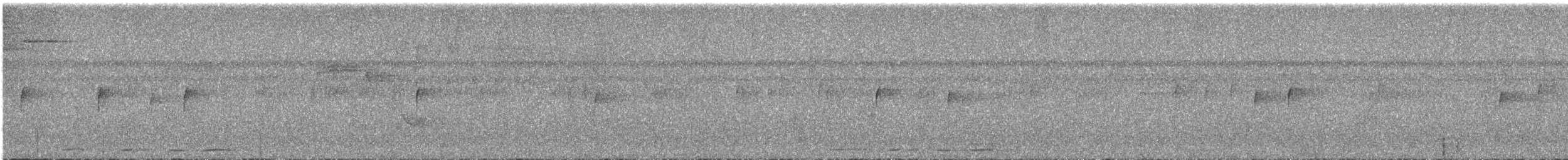 Kurzschnabeltaube - ML606267381
