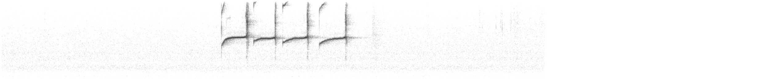 Тиранчик-довгохвіст болівійський - ML606309201