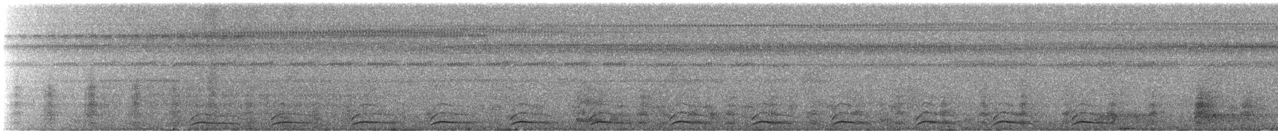 Black-tailed Trogon - ML606313251