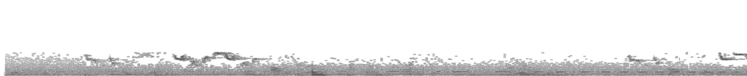 Cossyphe à gorge blanche - ML606325121