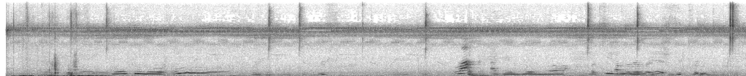 Белошапочный колибри - ML606381911