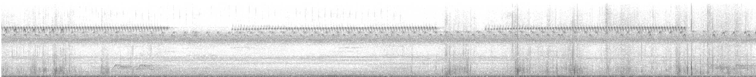 Carolinanachtschwalbe - ML606411541