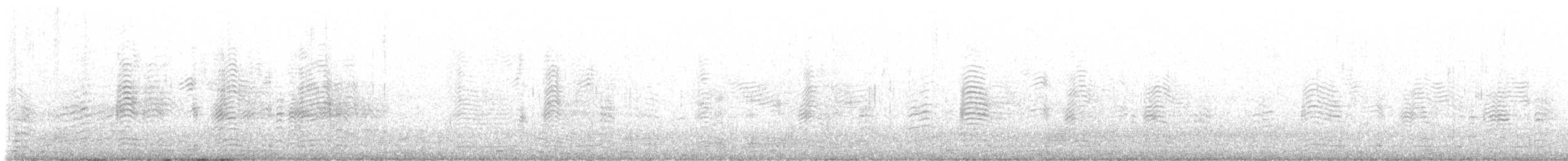 Gabai arre atlantikoa/mediterraneoa - ML606424291